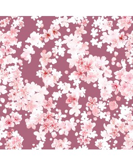 Cherry Blossom Pushkar